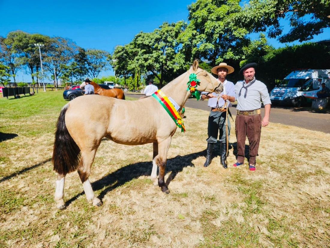 Potranca "Una Flor do Raúna", Grande Campeã categoria incentivo (animais com menos de dois anos).