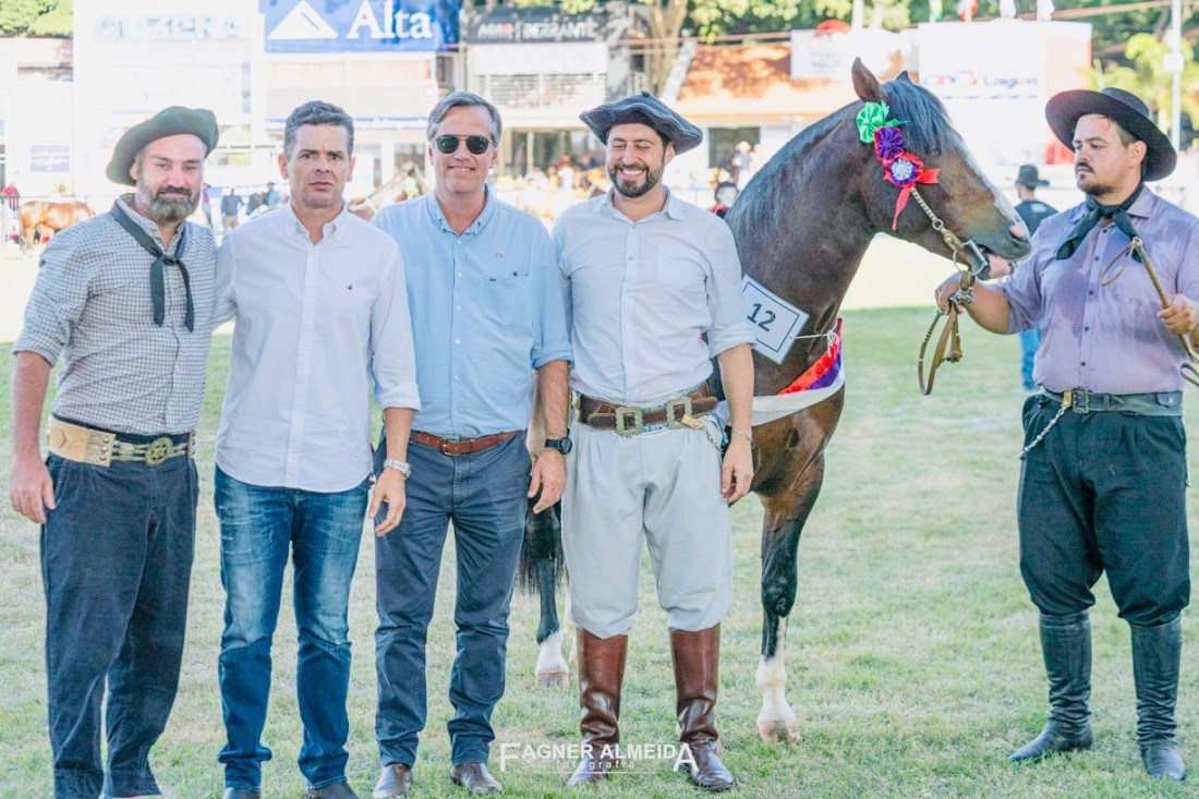 Recebendo a faixa de Reservado de Grande Campeão da mão dos representantes da ABCCC.